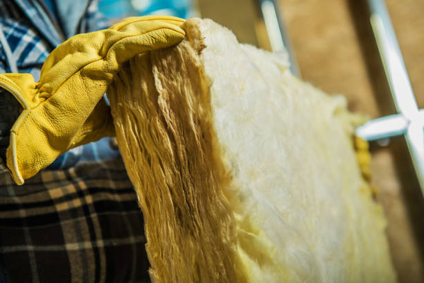 Best Insulation Maintenance and Repair in Islamorada Village Of Islands, FL