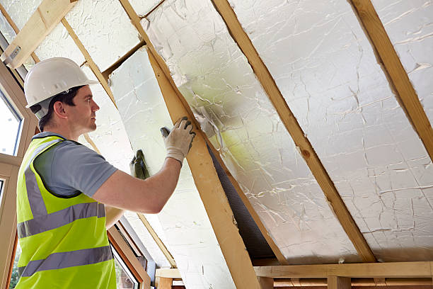 Best Eco-Friendly Insulation in Islamorada Village Of Islands, FL