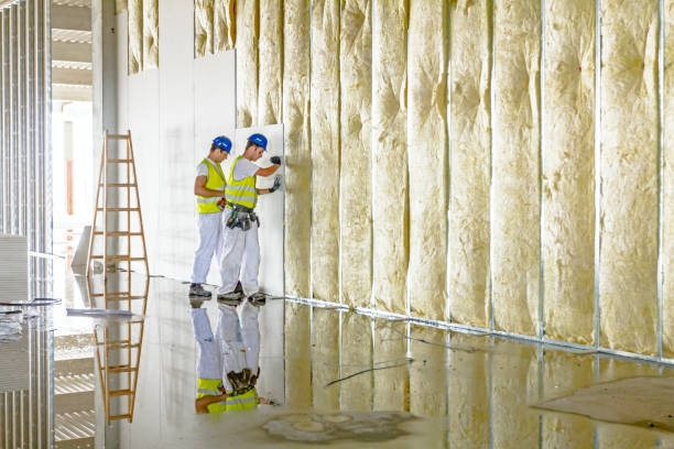 Best Blown-in Insulation in Islamorada Village Of Islands, FL